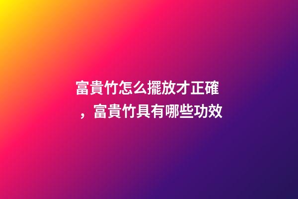 富貴竹怎么擺放才正確，富貴竹具有哪些功效